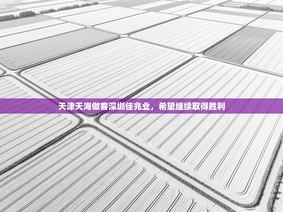 天津天海做客深圳佳兆业,希望继续取得胜利 第1张