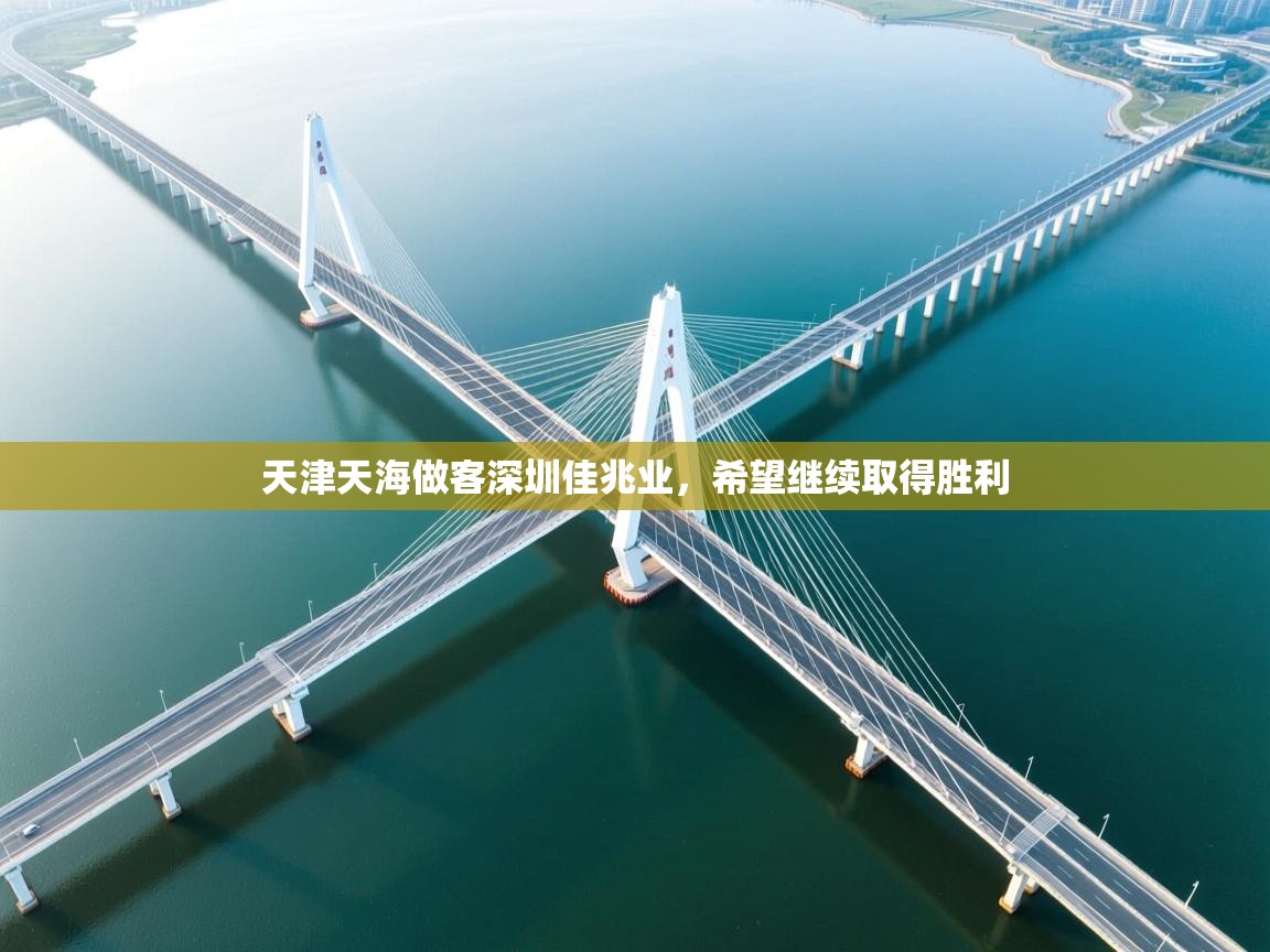 天津天海做客深圳佳兆业,希望继续取得胜利 第2张